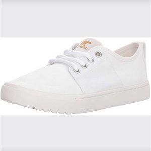 Sorel Women's campsneak lace sneaker